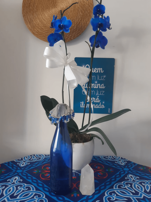 garrafa-com-agua-solarizada-azul
